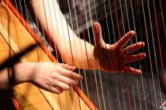 Concert-John-Williams-3-34